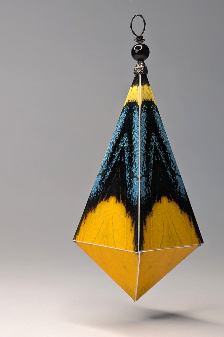 Callicore eunomia Ornament