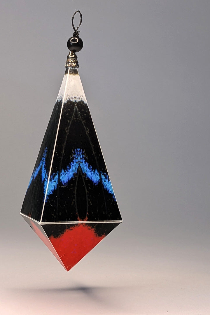 Mesotaenia vaninka Ornament