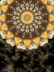 Helianthus