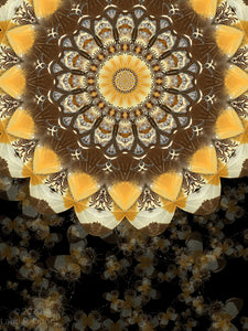Helianthus